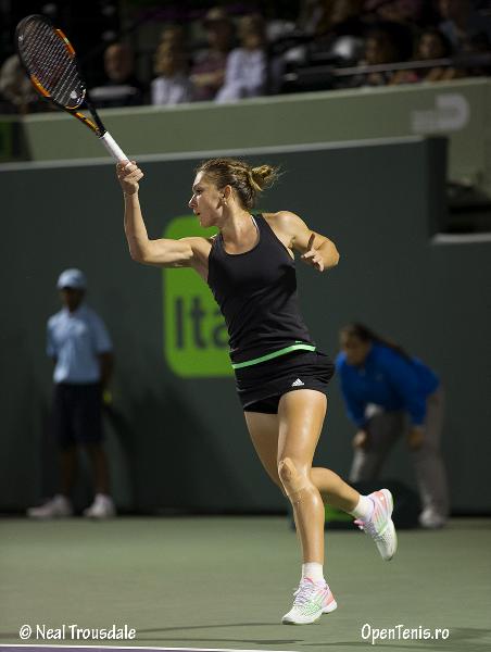 Halep versus Pennetta in imagini